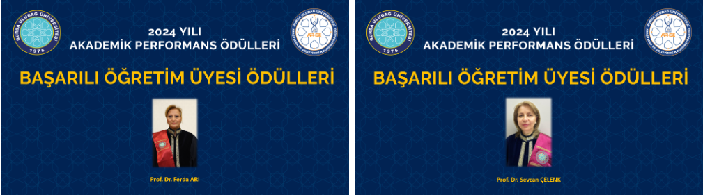  Ekran görüntüsü 2025-11-24 172741